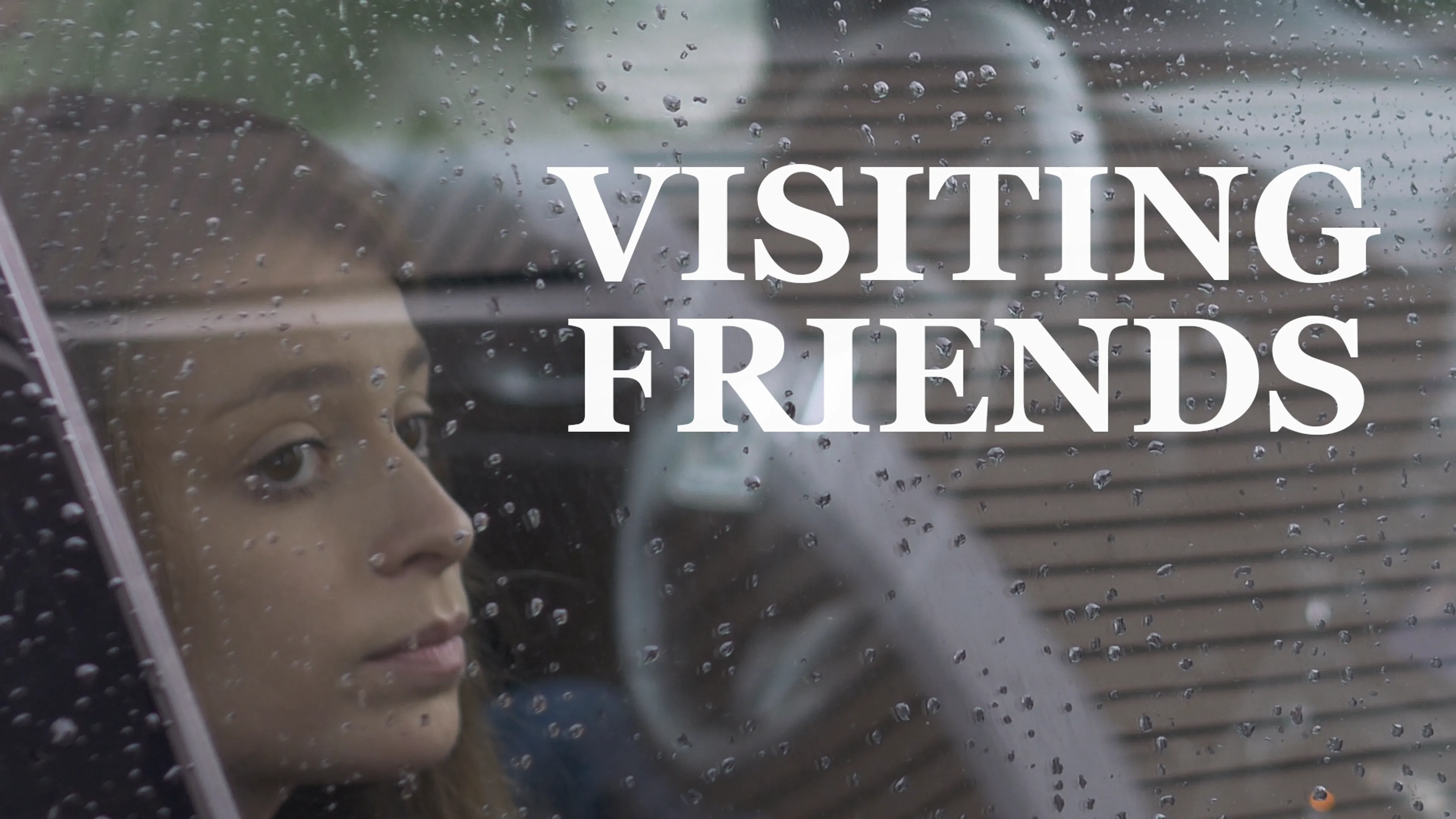 Visiting Friends poster